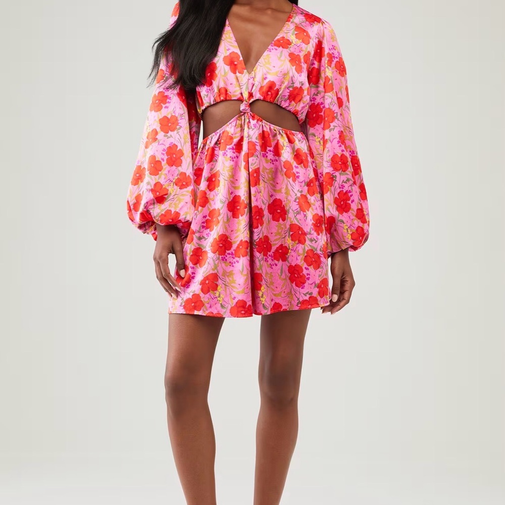 Show Me Your MuMu Christina Dress